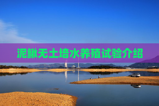 泥鳅无土培水养殖试验介绍