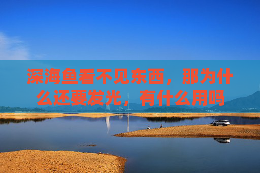 深海鱼看不见东西，那为什么还要发光，有什么用吗