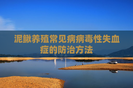 泥鳅养殖常见病病毒性失血症的防治方法