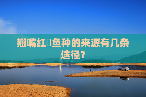 翘嘴红鲌鱼种的来源有几条途径？