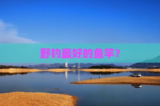 野钓最好的鱼竿？