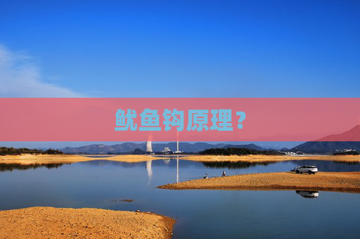 鱿鱼钩原理？