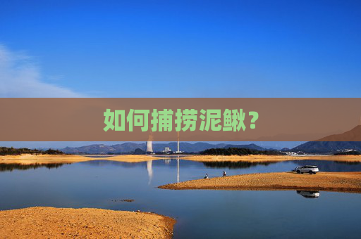 如何捕捞泥鳅？
