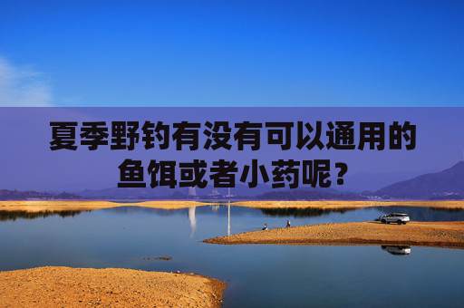 夏季野钓有没有可以通用的鱼饵或者小药呢？