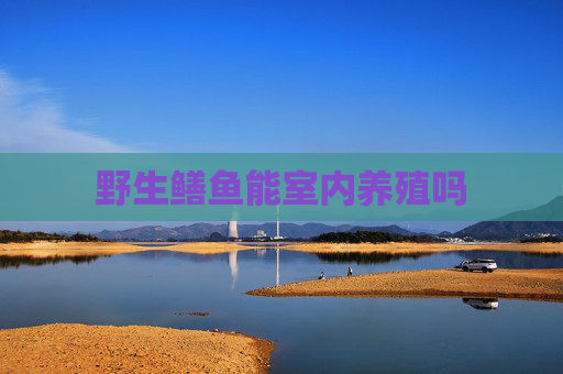 野生鳝鱼能室内养殖吗