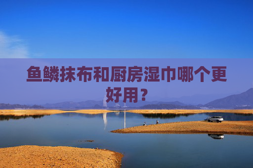 鱼鳞抹布和厨房湿巾哪个更好用？
