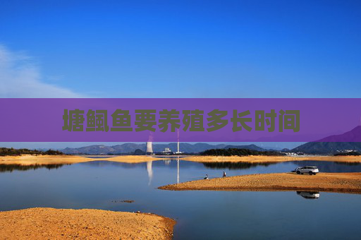 塘鲺鱼要养殖多长时间