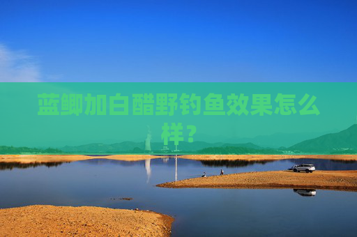 蓝鲫加白醋野钓鱼效果怎么样？