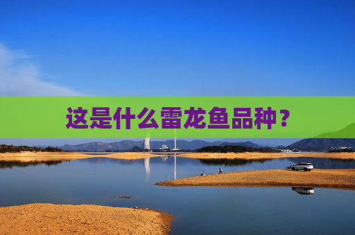 这是什么雷龙鱼品种？