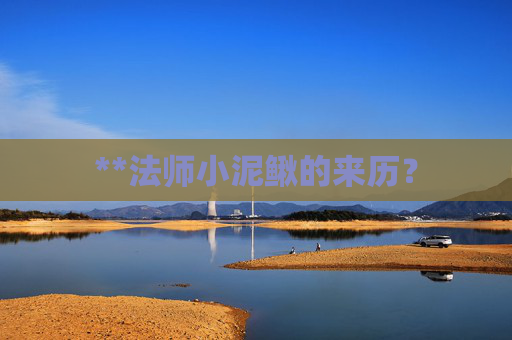 **法师小泥鳅的来历？