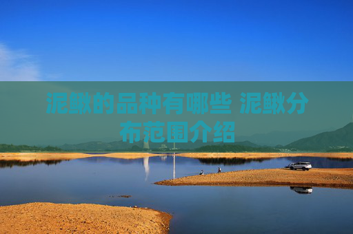 泥鳅的品种有哪些 泥鳅分布范围介绍