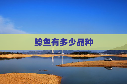 鲶鱼有多少品种