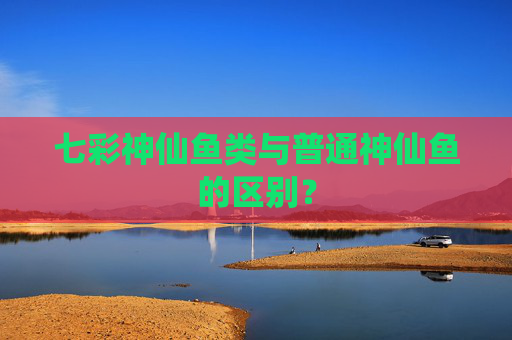 七彩神仙鱼类与普通神仙鱼的区别？
