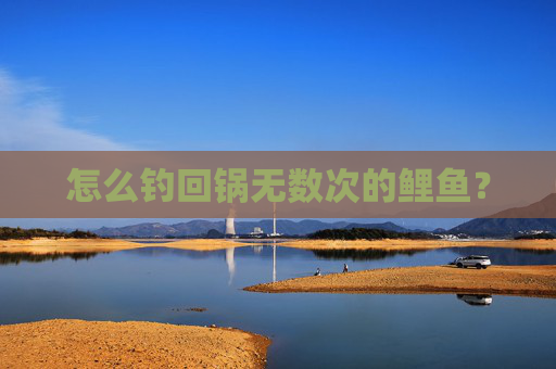 怎么钓回锅无数次的鲤鱼？