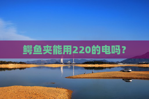 鳄鱼夹能用220的电吗？