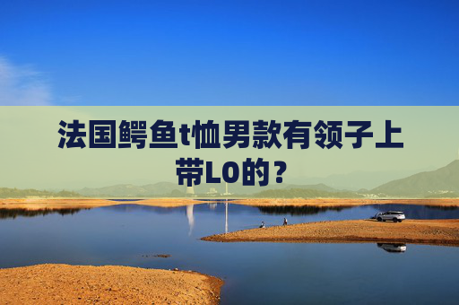 法国鳄鱼t恤男款有领子上带L0的？