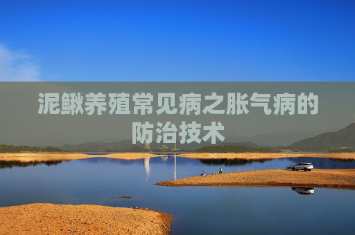 泥鳅养殖常见病之胀气病的防治技术