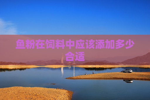 鱼粉在饲料中应该添加多少合适