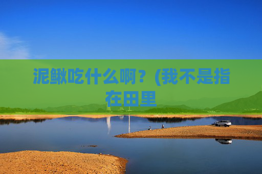 泥鳅吃什么啊？(我不是指在田里