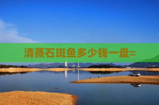 清蒸石斑鱼多少钱一盘=