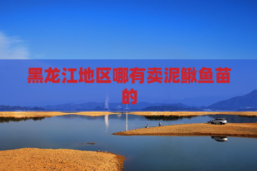黑龙江地区哪有卖泥鳅鱼苗的