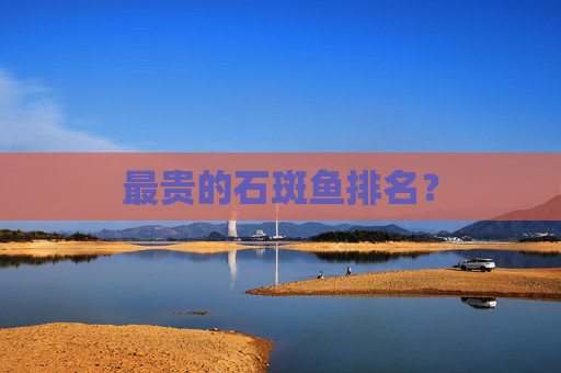 最贵的石斑鱼排名？