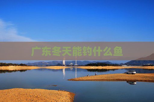 广东冬天能钓什么鱼