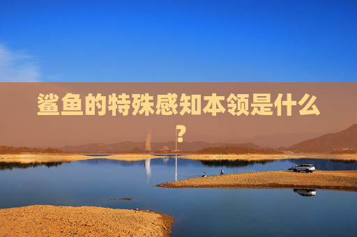鲨鱼的特殊感知本领是什么？