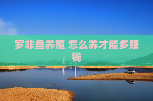 罗非鱼养殖 怎么养才能多赚钱
