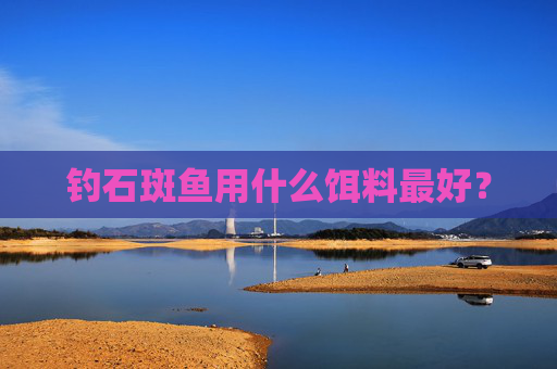 钓石斑鱼用什么饵料最好？