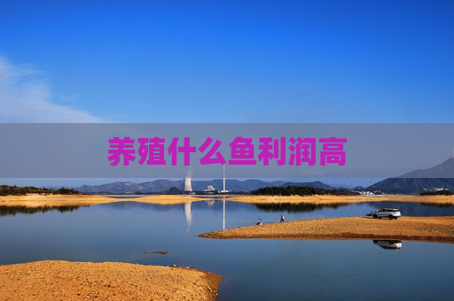 养殖什么鱼利润高