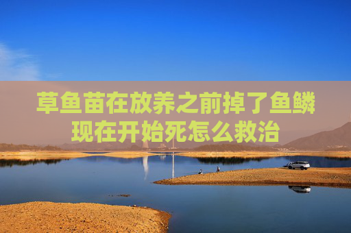 草鱼苗在放养之前掉了鱼鳞现在开始死怎么救治