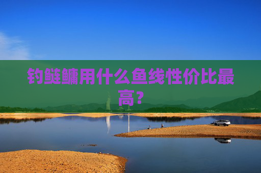 钓鲢鳙用什么鱼线性价比最高？