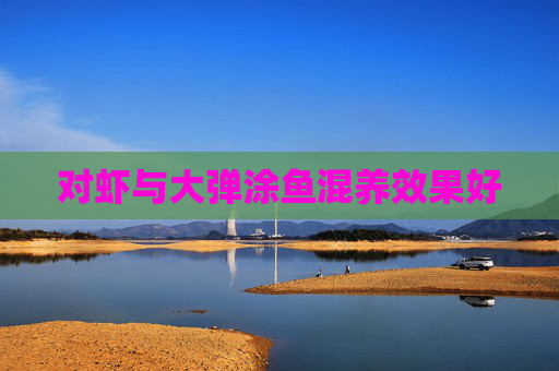 对虾与大弹涂鱼混养效果好