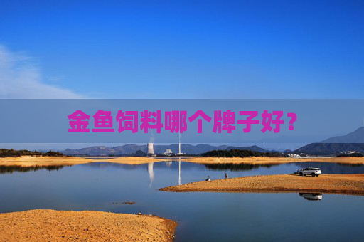 金鱼饲料哪个牌子好？