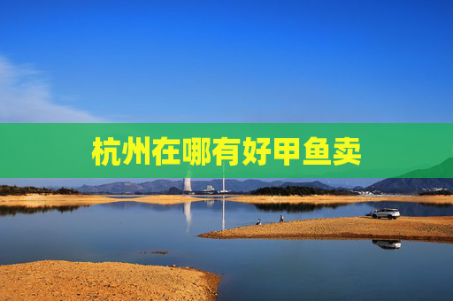 杭州在哪有好甲鱼卖