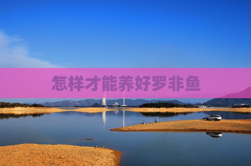 怎样才能养好罗非鱼