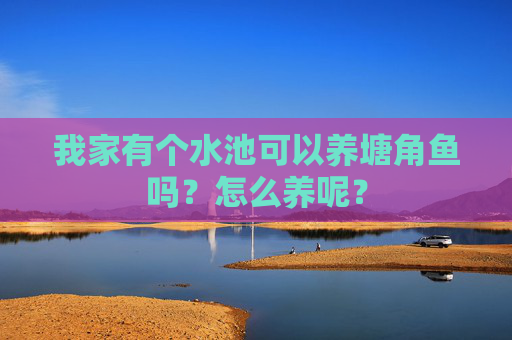 我家有个水池可以养塘角鱼吗？怎么养呢？