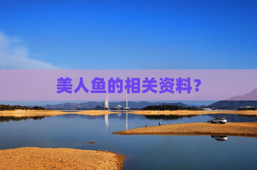 美人鱼的相关资料？
