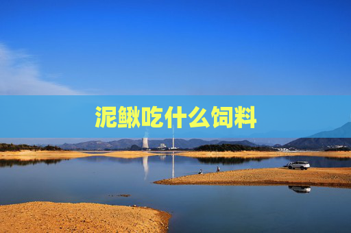 泥鳅吃什么饲料
