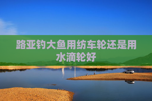 路亚钓大鱼用纺车轮还是用水滴轮好
