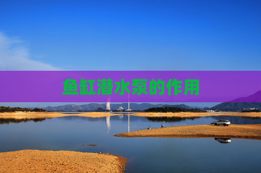 鱼缸潜水泵的作用 鱼缸潜水泵的作用
