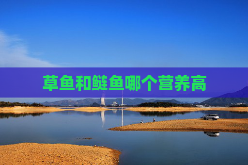 草鱼和鲢鱼哪个营养高