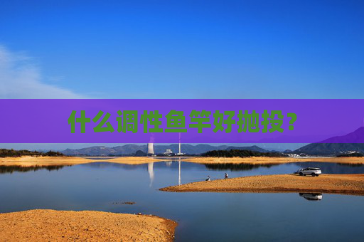 什么调性鱼竿好抛投？