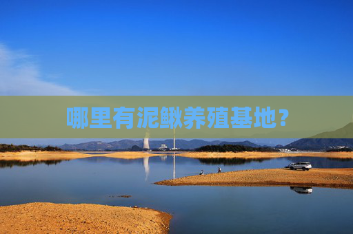 哪里有泥鳅养殖基地？