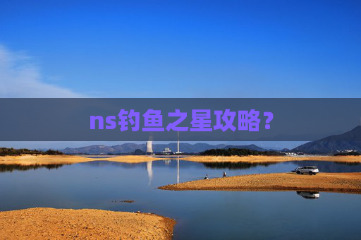 ns钓鱼之星攻略？