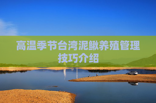 高温季节台湾泥鳅养殖管理技巧介绍