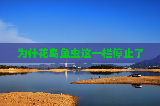 为什花鸟鱼虫这一栏停止了