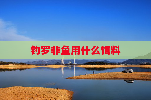 钓罗非鱼用什么饵料