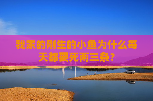 我家的刚生的小鱼为什么每天都要死两三条？